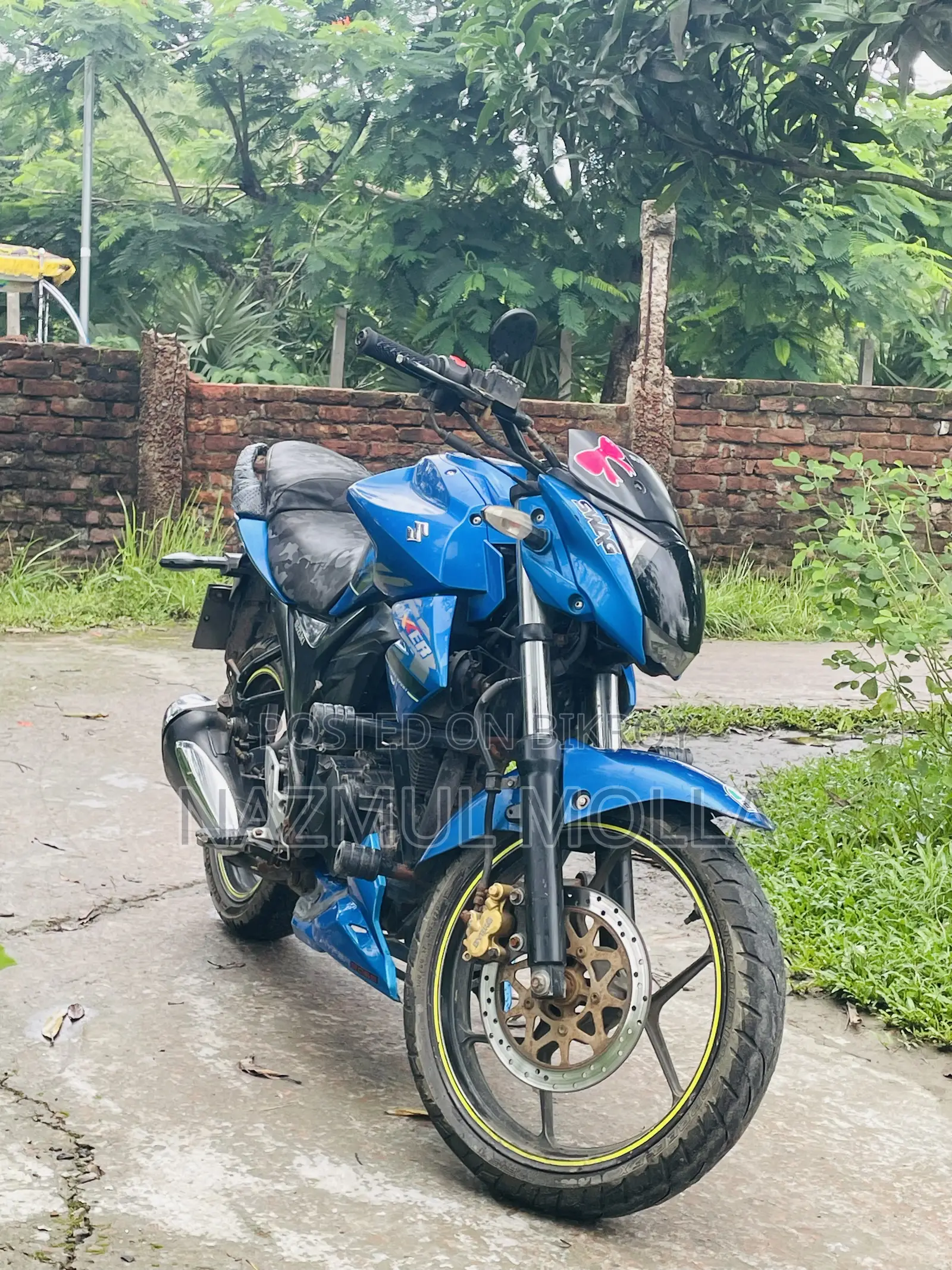 Suzuki Bike 2018 Blue
