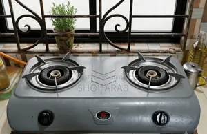 RFL Gas Stove