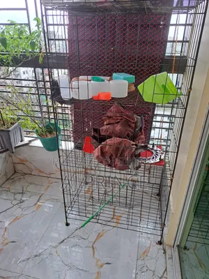 ৪ খোপপের খাচা বিক্রি হচ্ছে