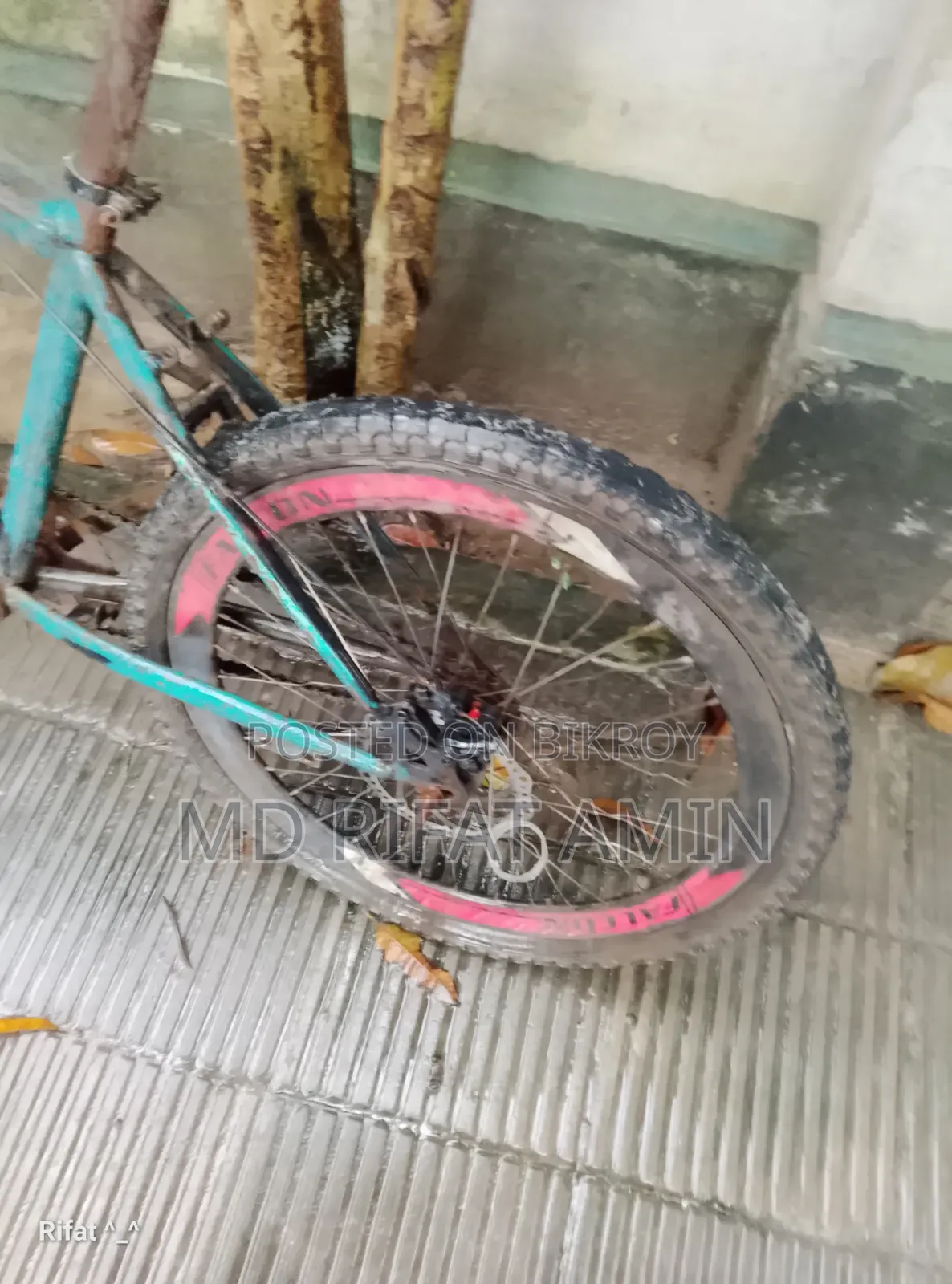 Cycle for Sale
