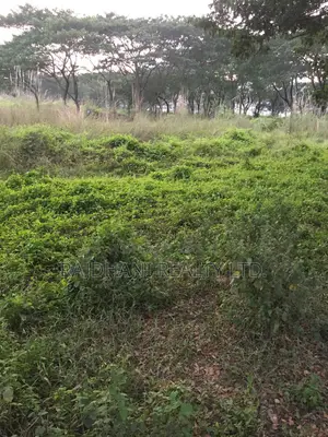 - ব্লক, ৩ কাঠা প্লট সেল বসুন্ধরা