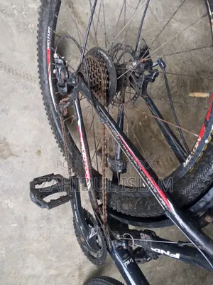 Phoenix Cycle for Sell
