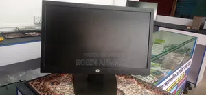 HP 19" Monitor
