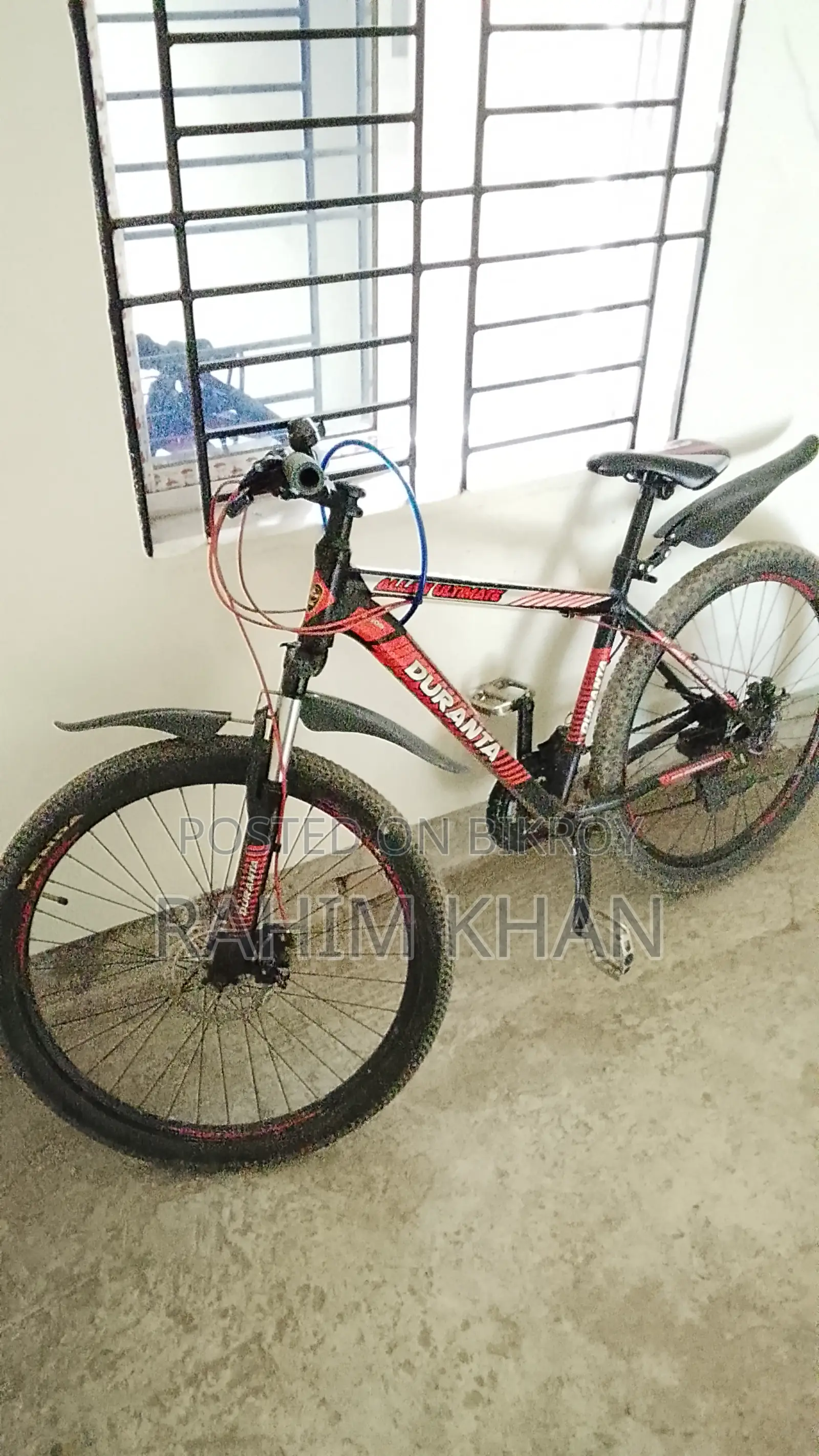 বাইসাইকেল অরজিনাল
