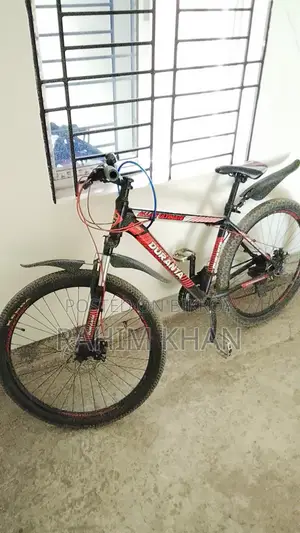 Original Bicycle