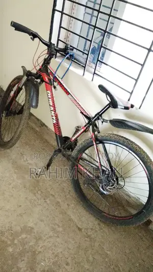 বাইসাইকেল অরজিনাল