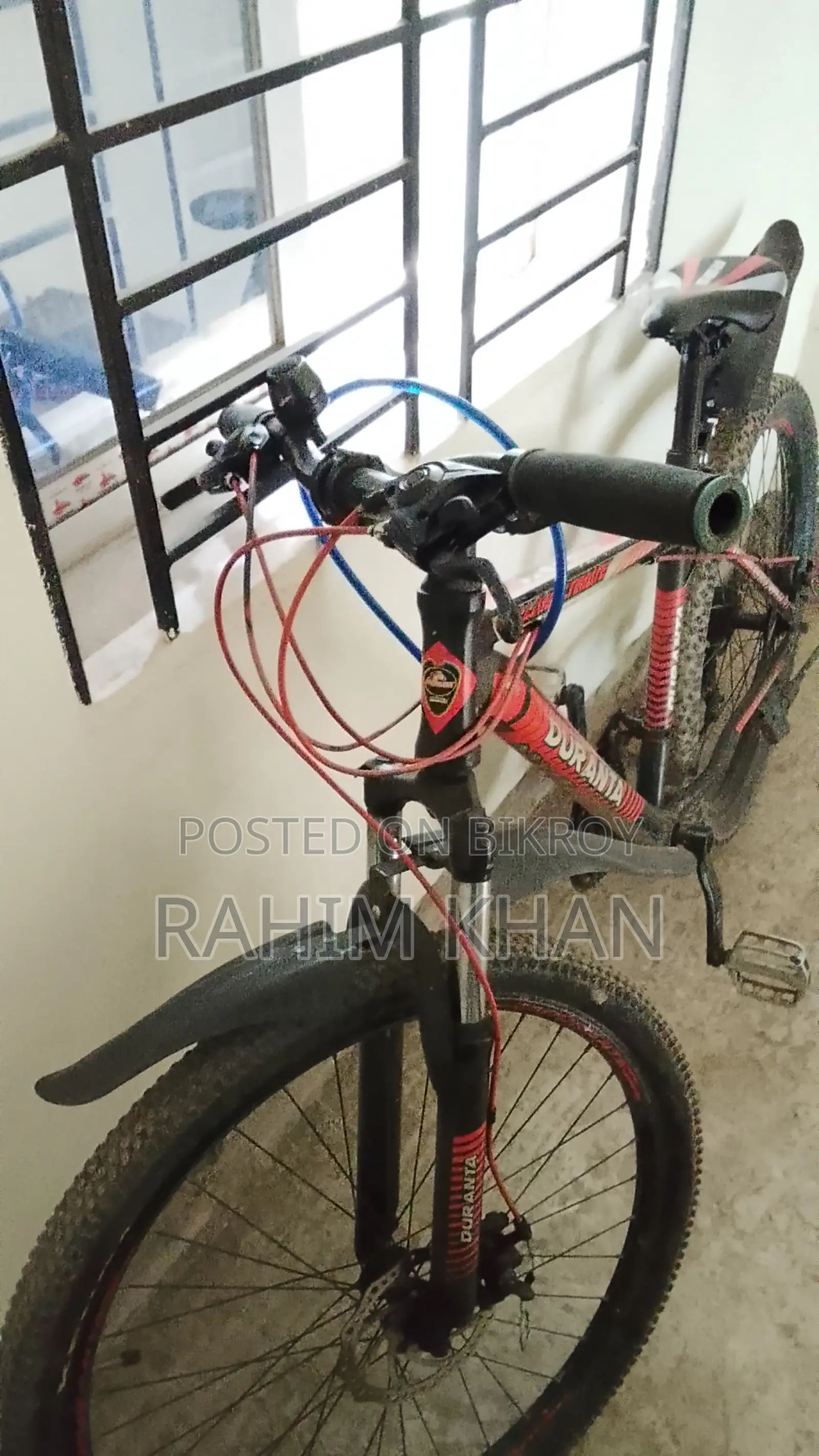 বাইসাইকেল অরজিনাল