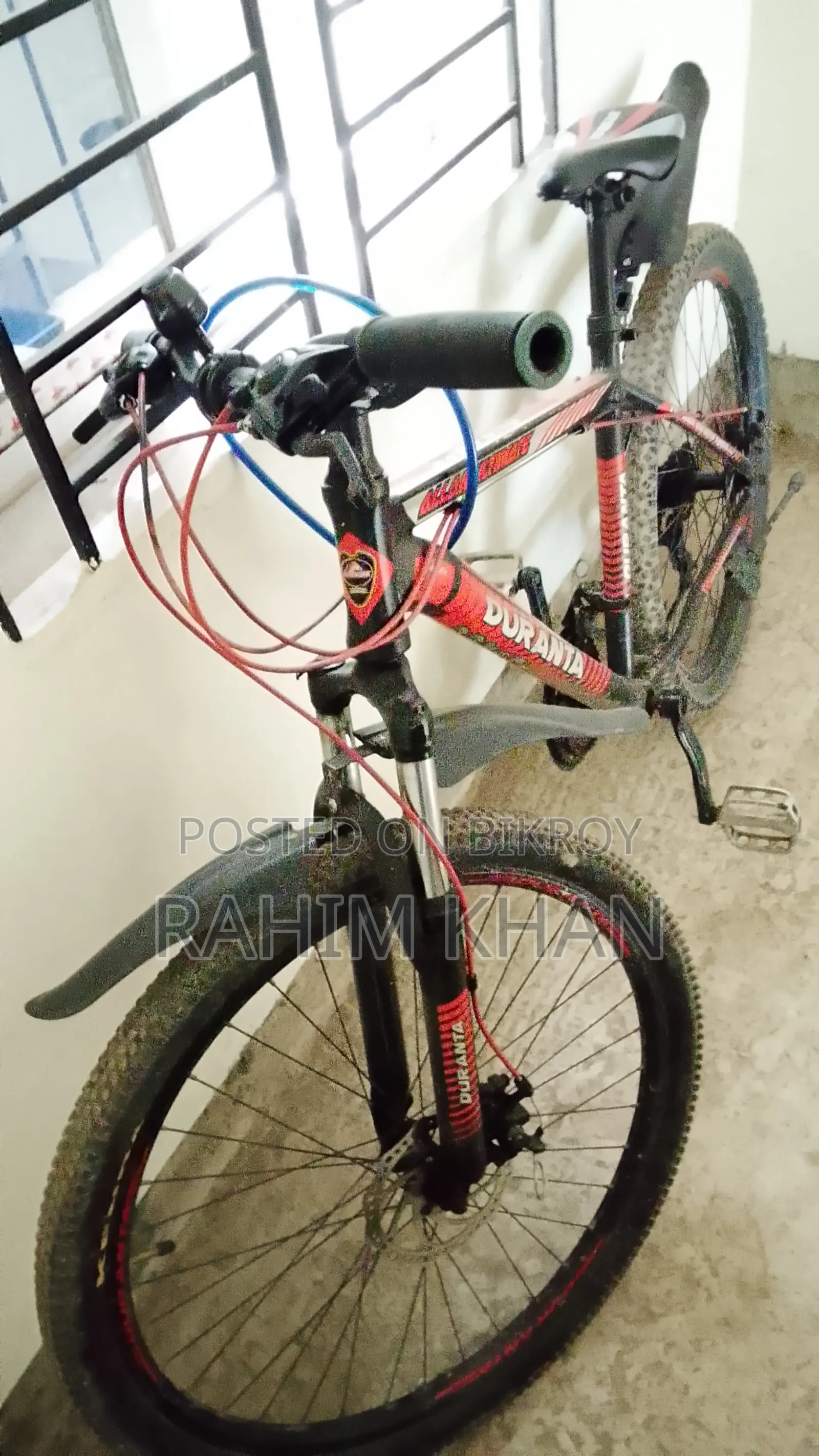 বাইসাইকেল অরজিনাল