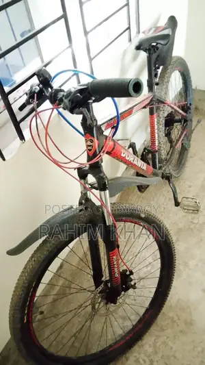 বাইসাইকেল অরজিনাল