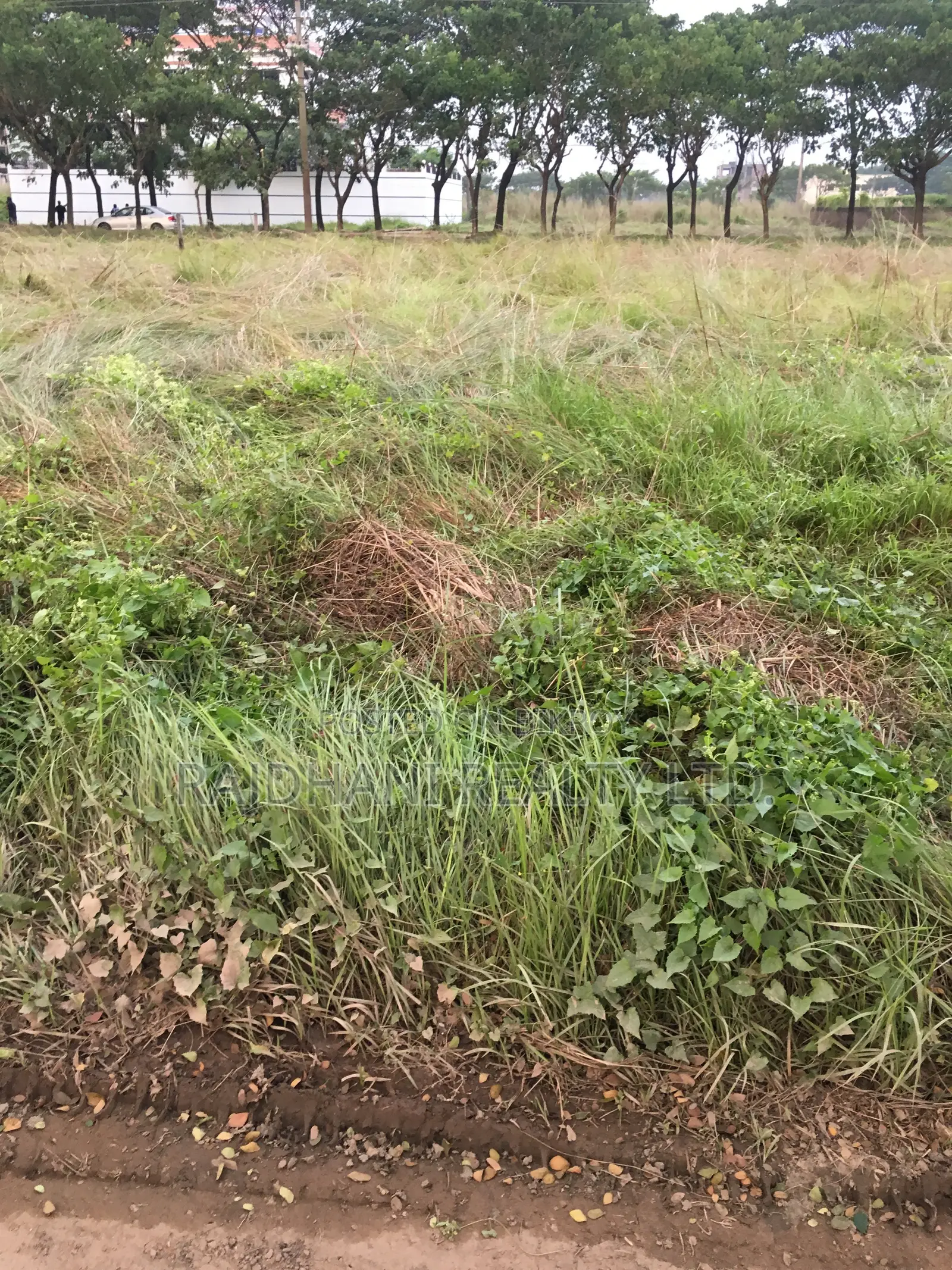 M-Block,5 Katha Plot Sale in Bashundhara