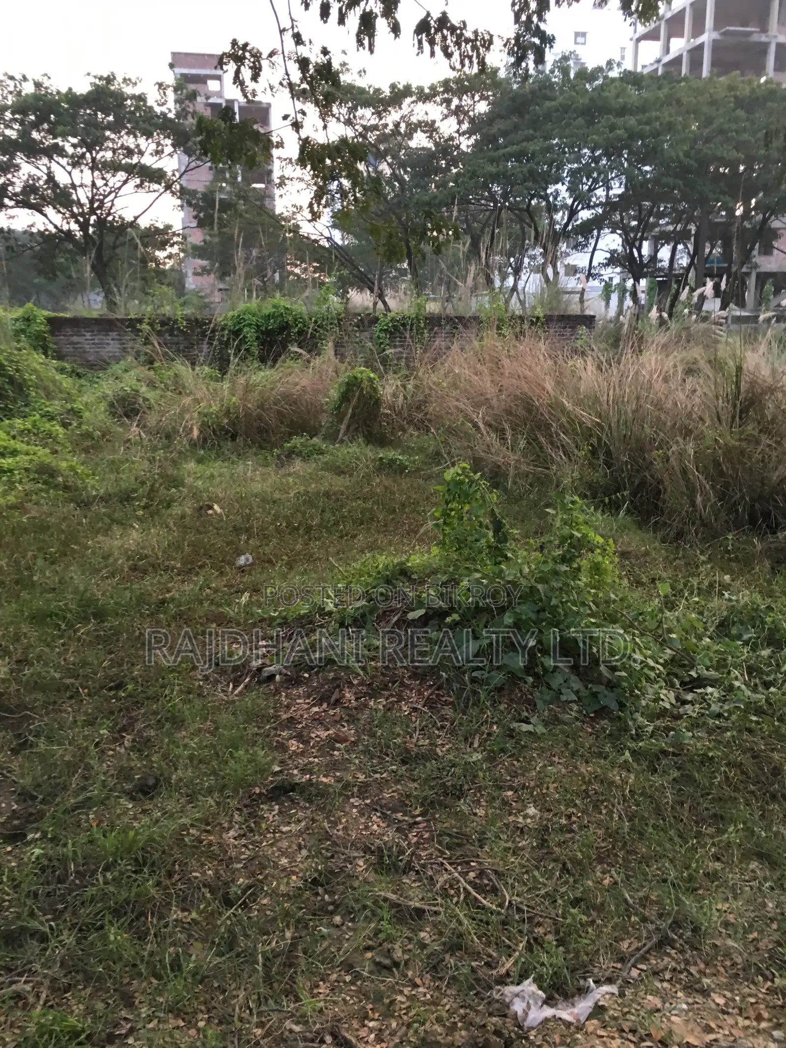 M-Block,5 Katha Plot Sale in Bashundhara