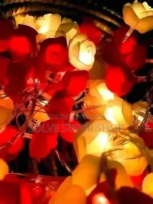 ডেকোরেশন লাইটিং সেট