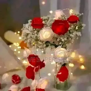 ডেকোরেশন লাইটিং সেট