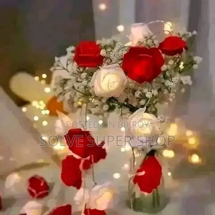 ডেকোরেশন লাইটিং সেট