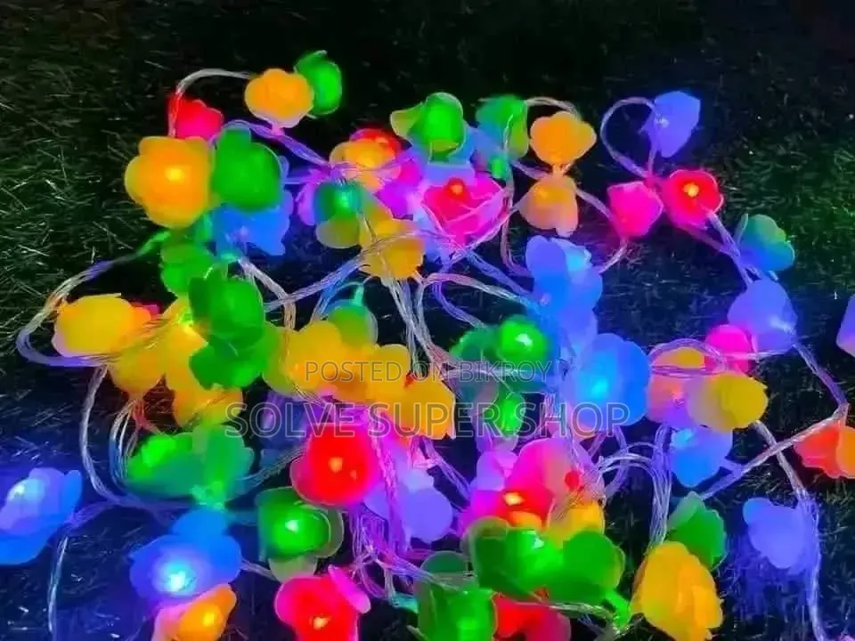 ডেকোরেশন লাইটিং সেট