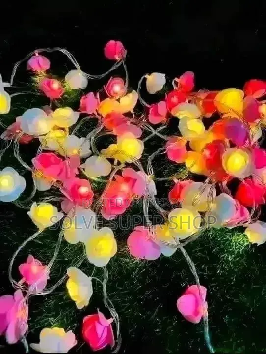 ডেকোরেশন লাইটিং সেট