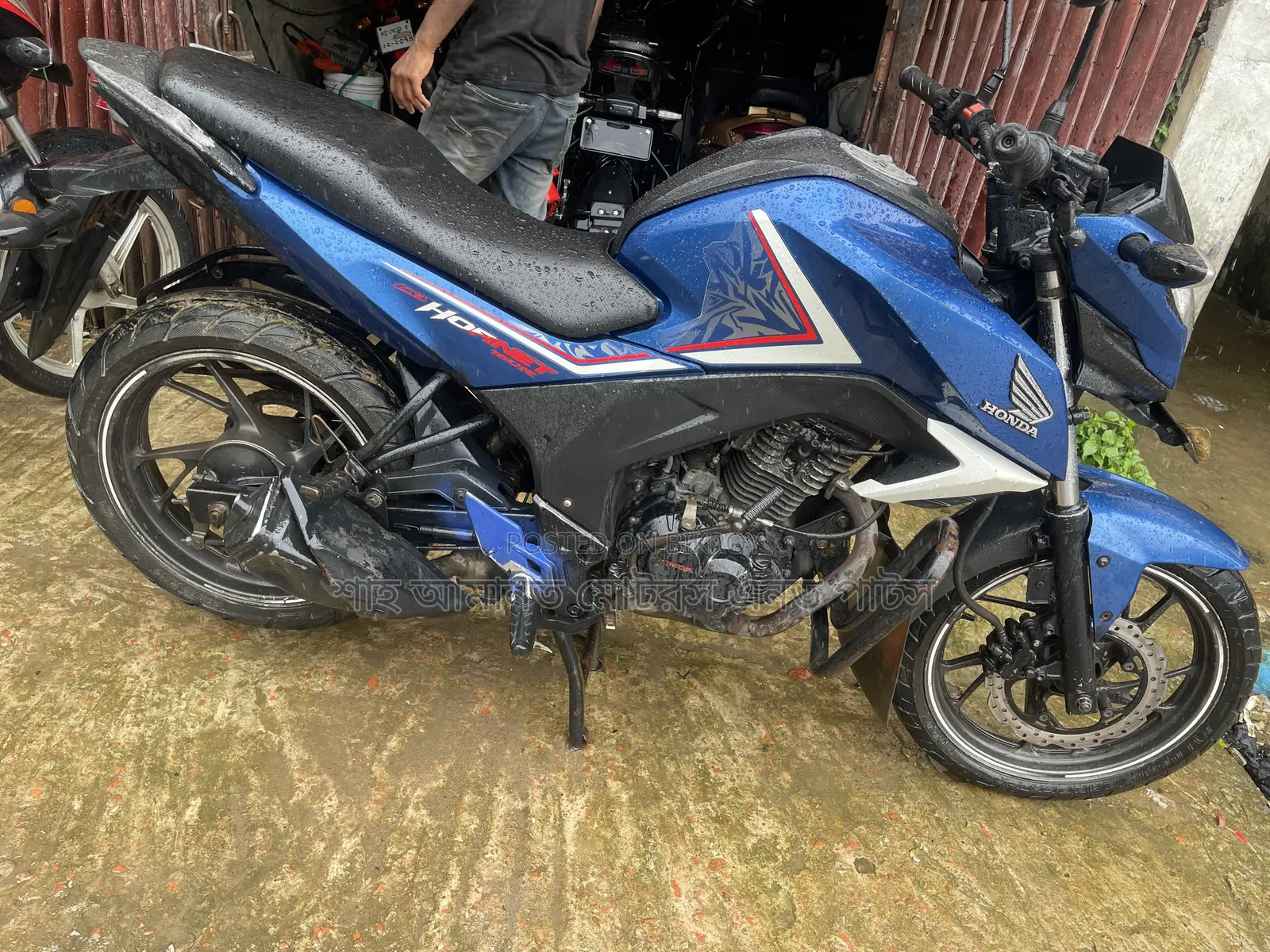 Honda Hornet 2019 Blue