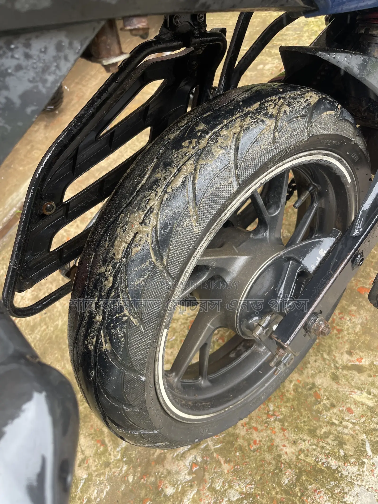 Honda Hornet 2019 Blue