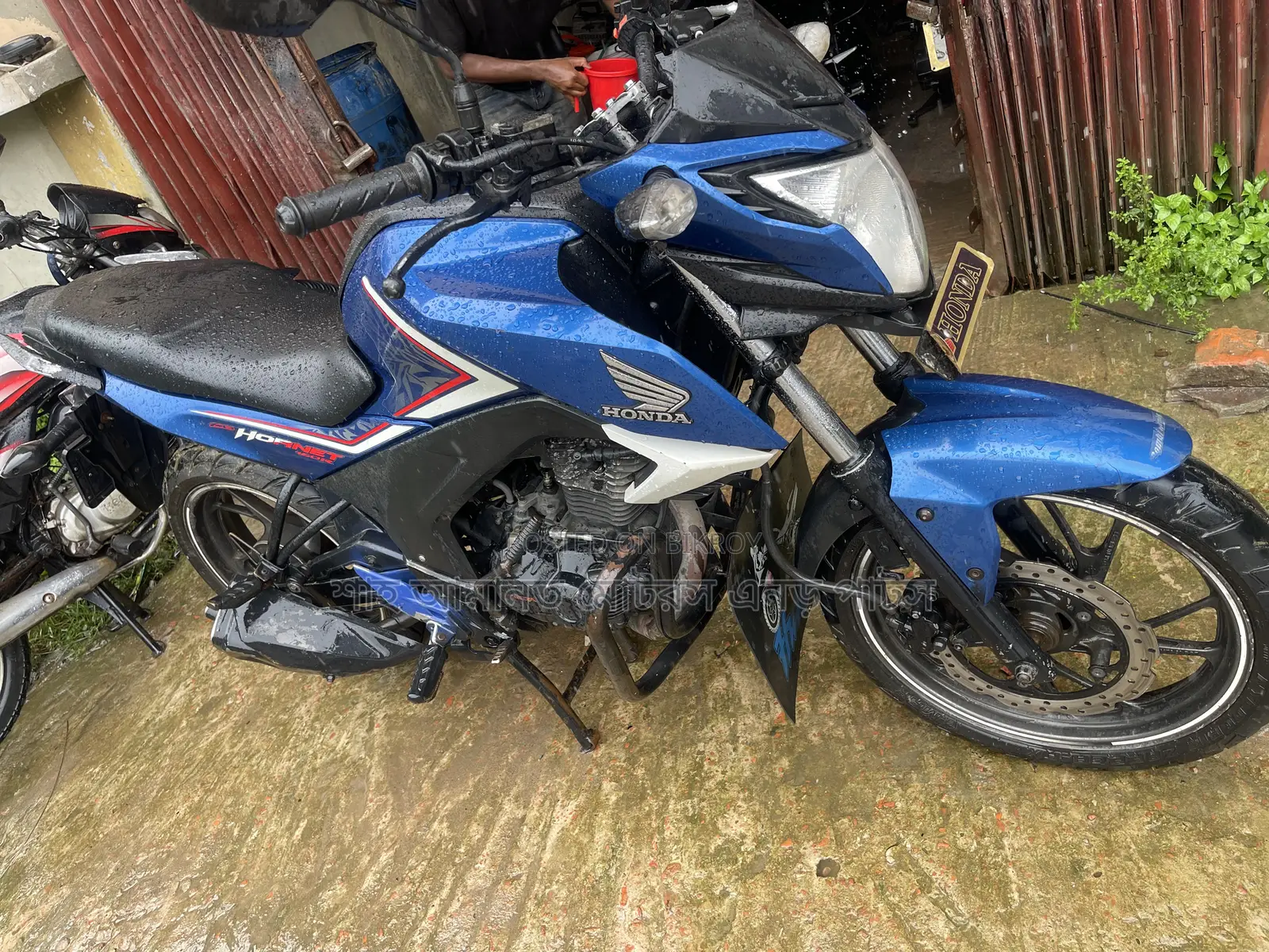 Honda Hornet 2019 Blue