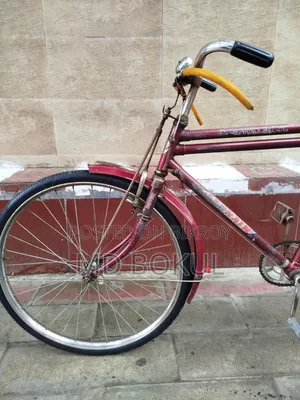 ইন্ডিয়ান হিরো সাইকেল
