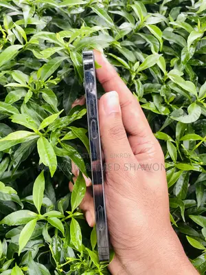 Apple iPhone 12 Pro 128 GB Black