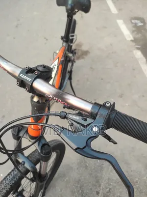 Nekro Ash30 Cycle
