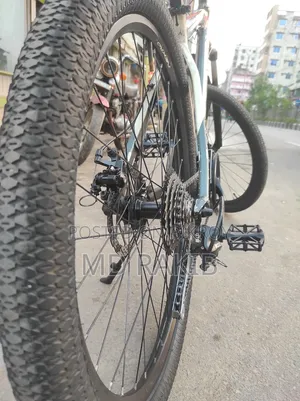 নেক্রো অ্যাশ৩০ সাইকেল