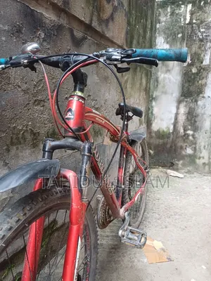 Duronto Bicycle