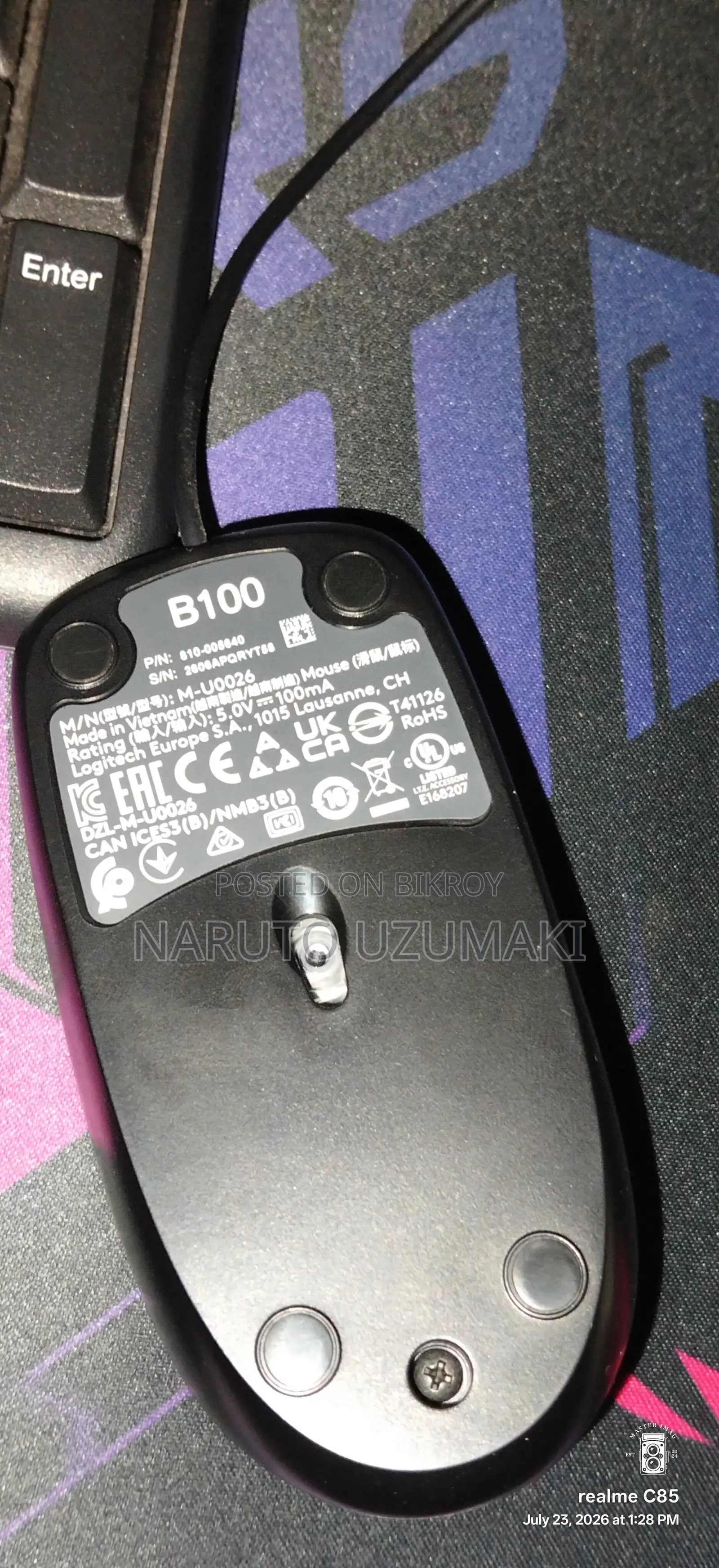 Logitech B100