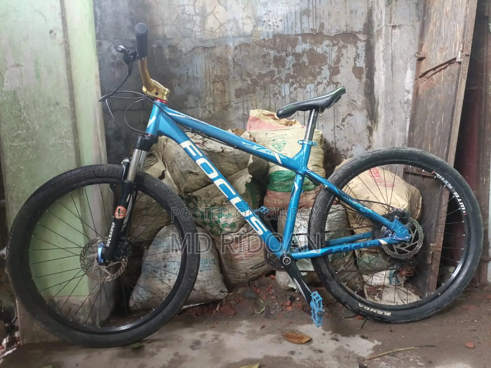 ফোকাস কাস্টমাইজড সাইকেল