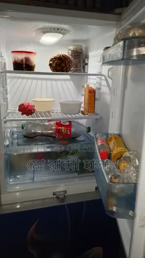 I will sell the fridge, money problem