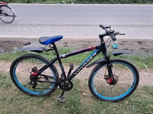 Non-Gear Bicycle