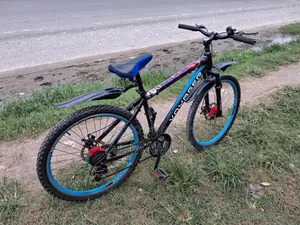 Non-Gear Bicycle