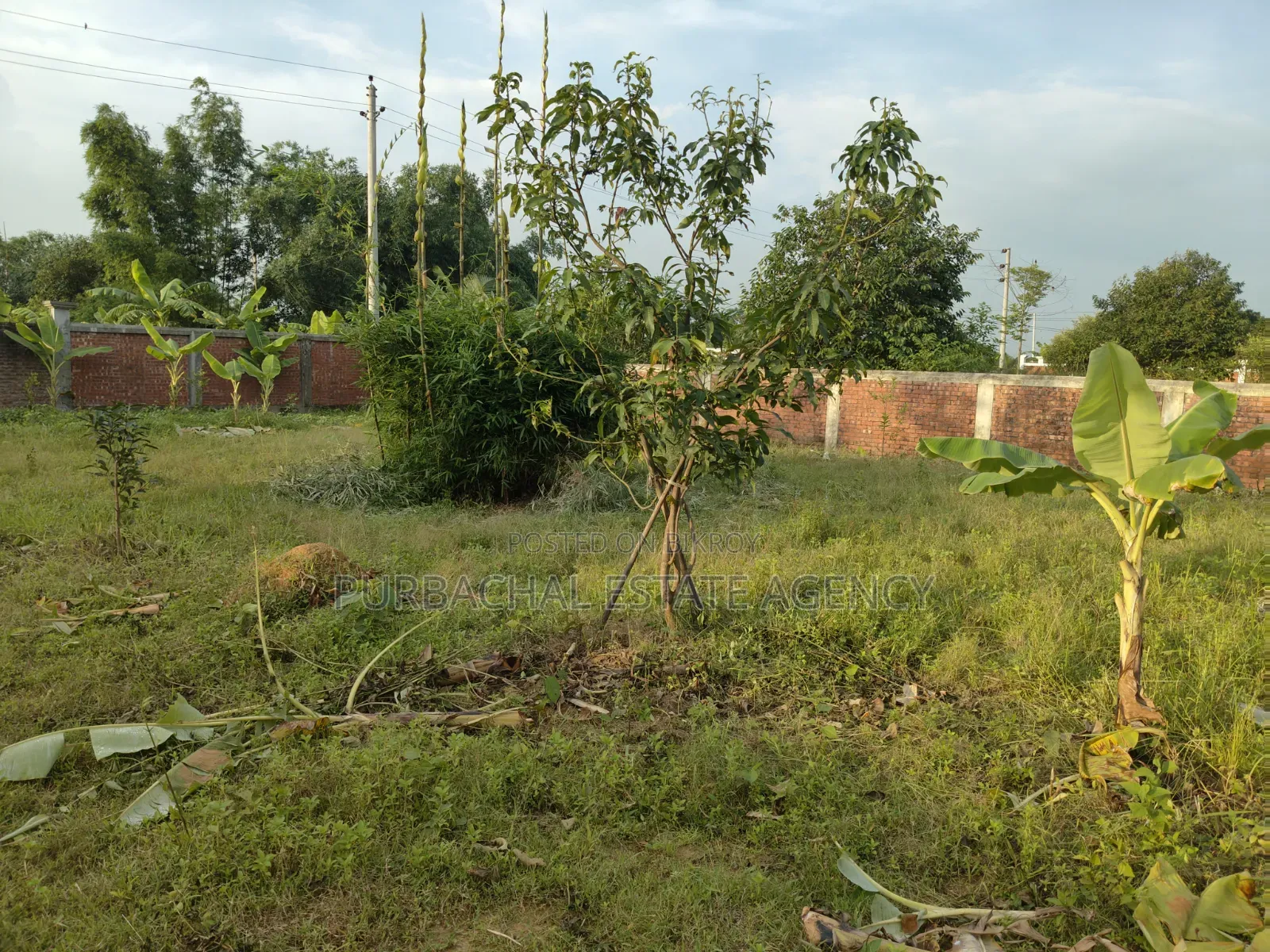 ১০ কাঠা হ্রদ ও পার্ক ভিউ প্লট, রাজউক পূর্বাচল সেক্টর ২৪