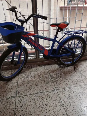 Phoenix Bicycle With Basket at the Front