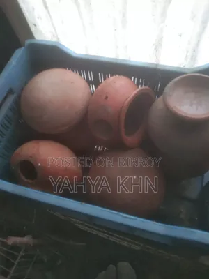 কিছু বাজিগার পাখির হাড়ি এবং পিলটার বিক্রি করা হবে