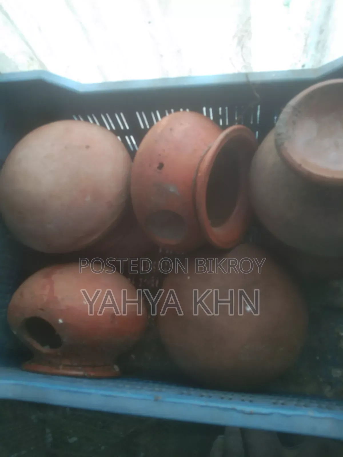 কিছু বাজিগার পাখির হাড়ি এবং পিলটার বিক্রি করা হবে