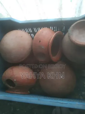 কিছু বাজিগার পাখির হাড়ি এবং পিলটার বিক্রি করা হবে