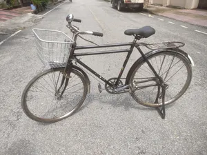 Running Classic Cycle (Phoenix)