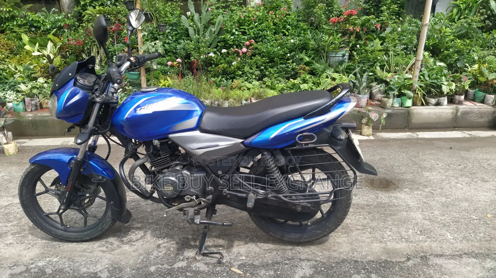 Bajaj Discover 125 2019 Blue