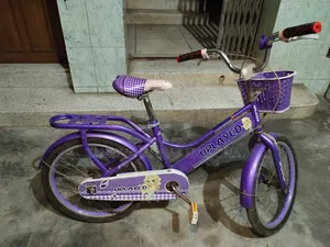 সাইকেল নতুনের মতোই আছে
