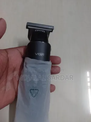 ভিজার টিমবার