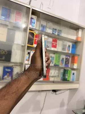 অ্যাপল আইফোন ১৬ প্রো ২৫৬ জিবি সিলভার