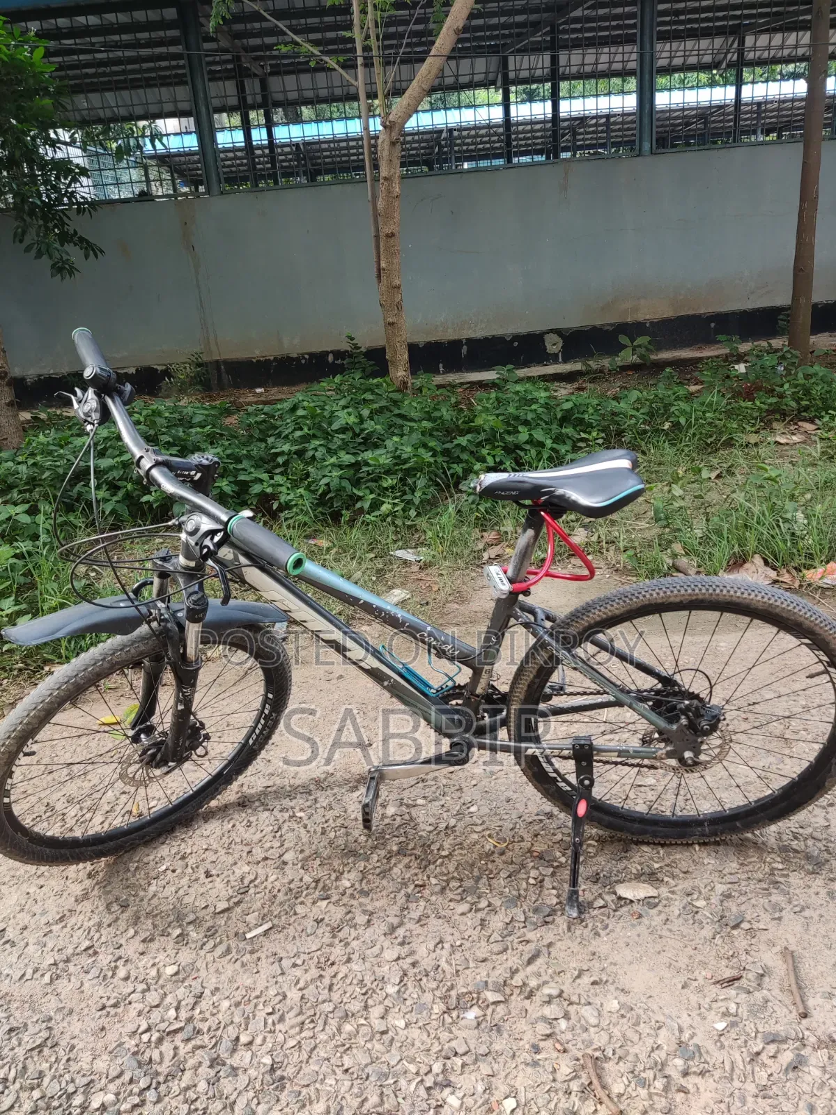 Cycle for Sale