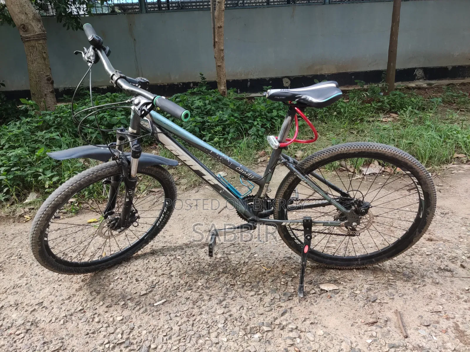 Cycle for Sale