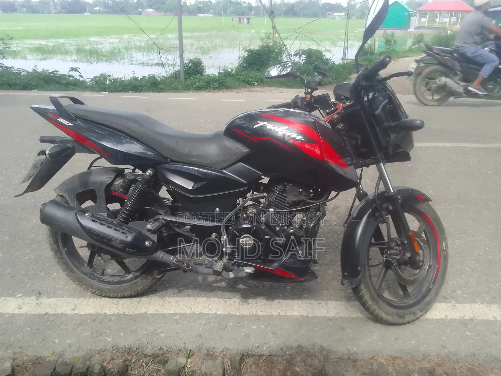 Bajaj Pulsar 150 2024 Black