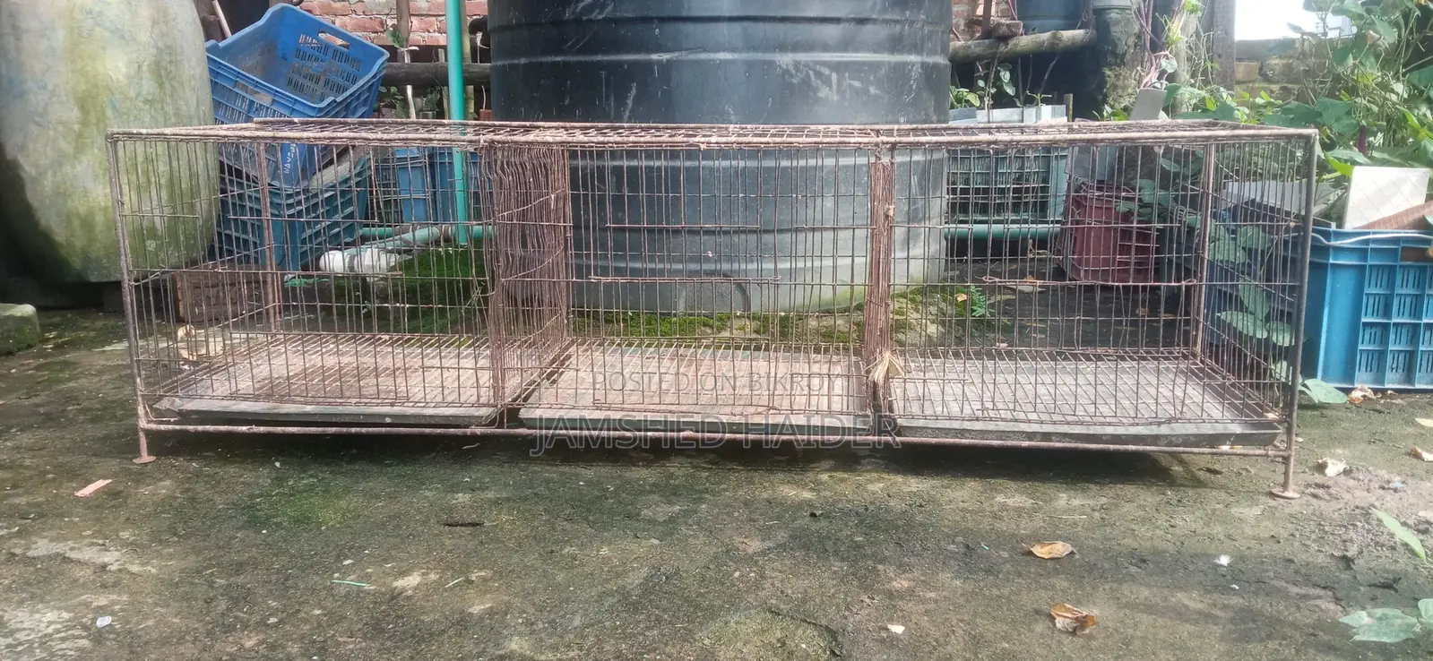 ৩ খোপের খাঁচা