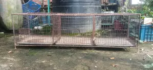 ৩ খোপের খাঁচা