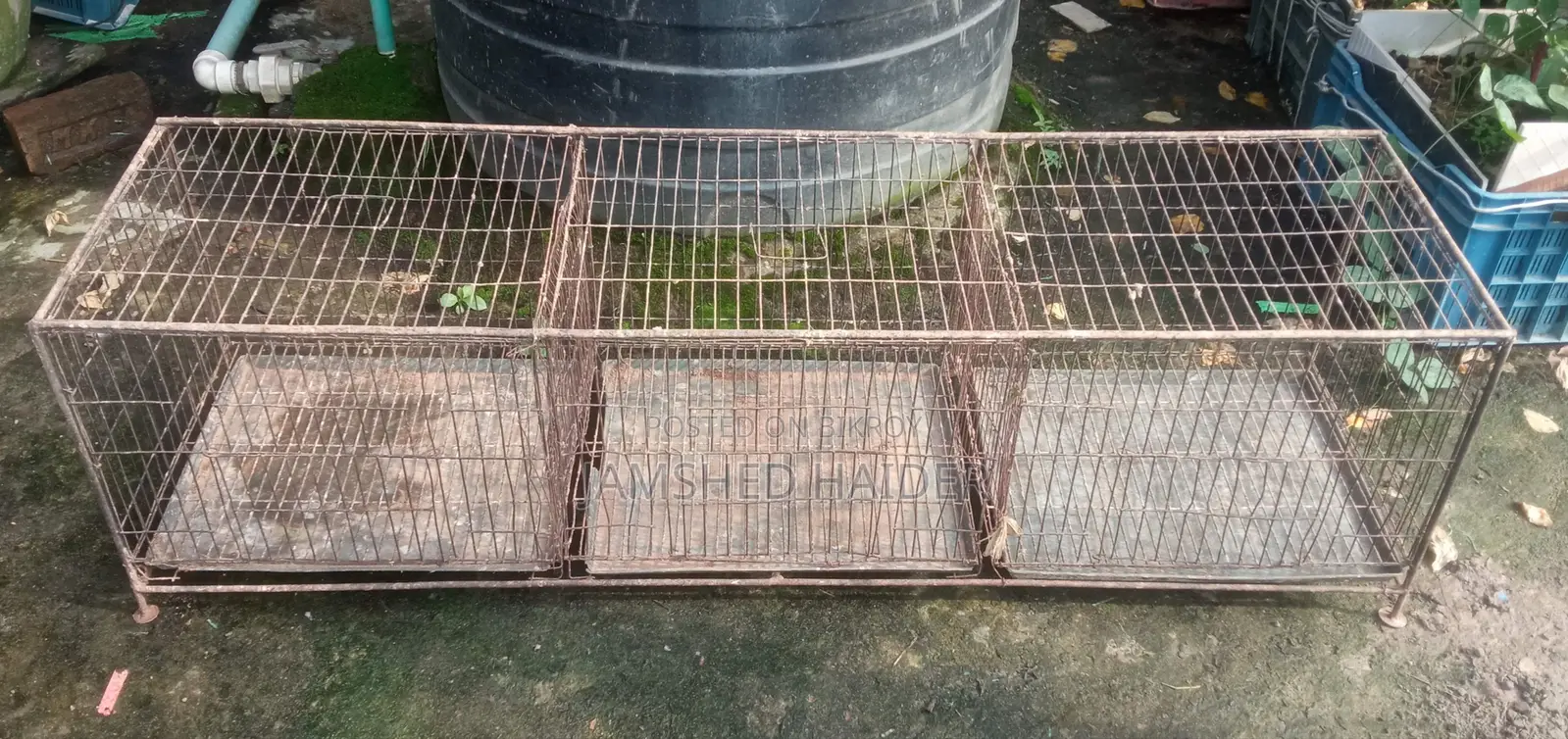 ৩ খোপের খাঁচা