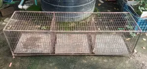 ৩ খোপের খাঁচা